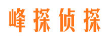 宁江出轨调查